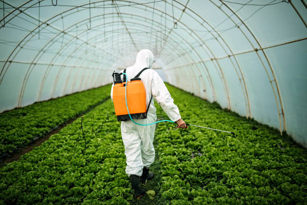 Best Best Pest Control Companies  in Mora, MN