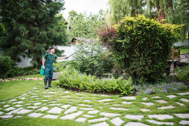 Best Affordable Pest Control Services  in Mora, MN