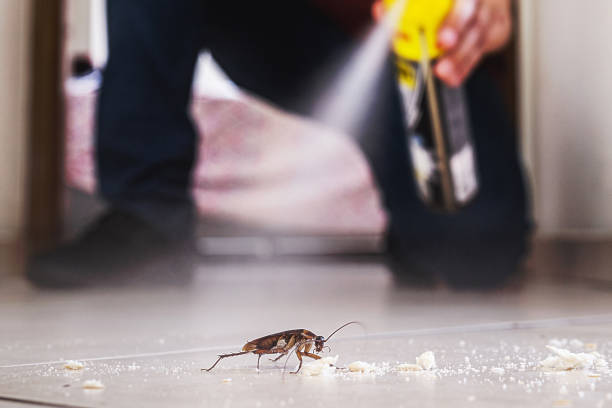 Best Best Pest Control Companies  in Mora, MN