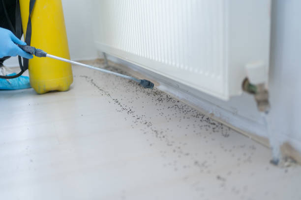 Best Commercial Pest Control Services  in Mora, MN