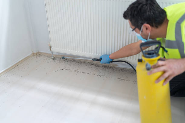 Best Pest Inspection Near Me  in Mora, MN